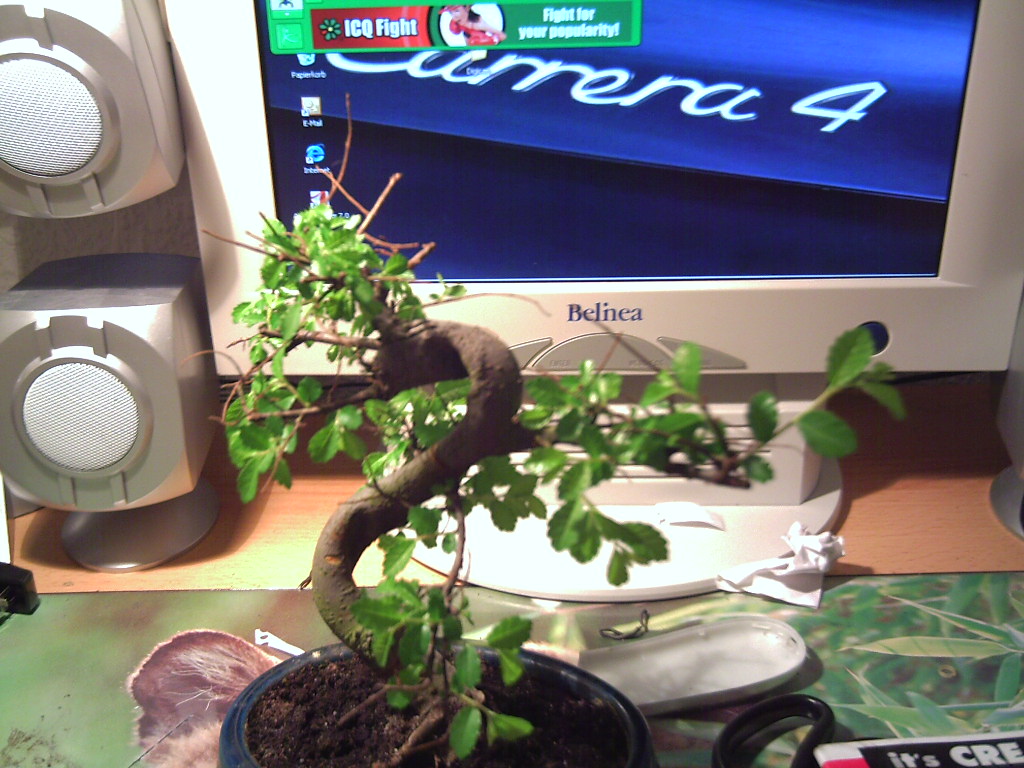 PICT0002.JPG