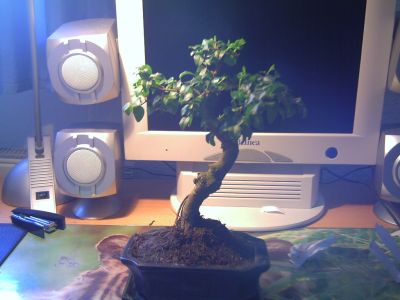 pict0007.jpg