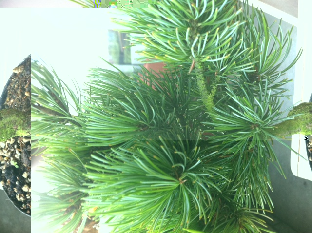 Foto 5.JPG