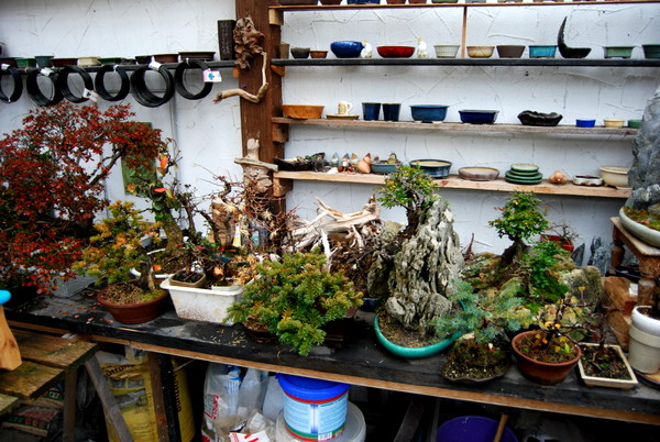 DSC_1521.JPG