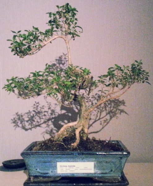 20130113_222830.jpg