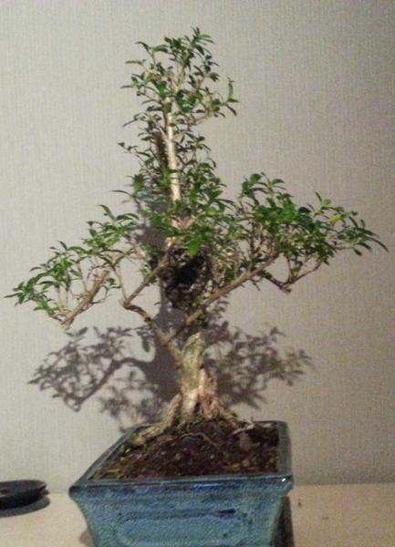 20130113_222859.jpg