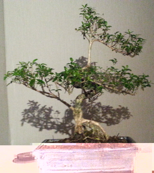 20130113_222910.jpg