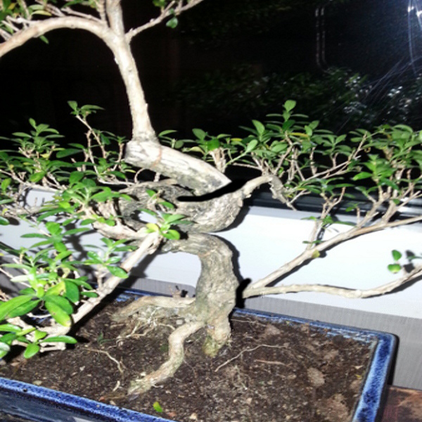 20130114_234429.jpg