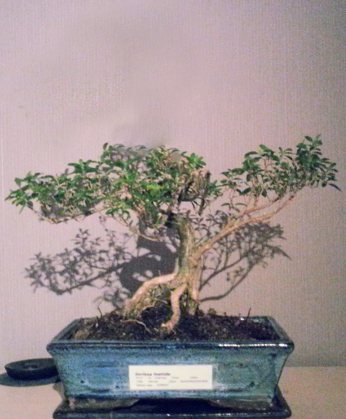 20130113_222830.jpg