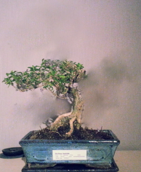 20130113_222830.jpg