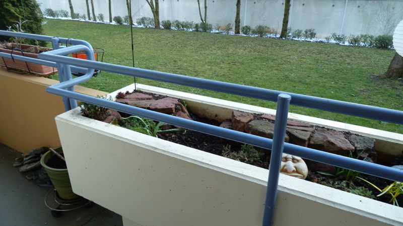 P1050325.jpg