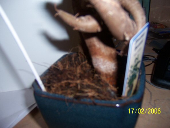 100_0528.JPG