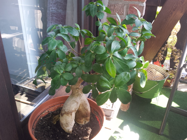 20130506_115751.jpg