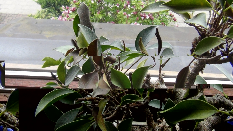 DSC000100.jpg