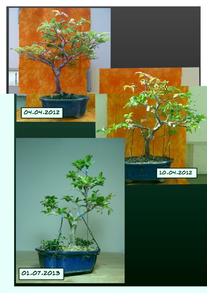 Page_1-2.jpg