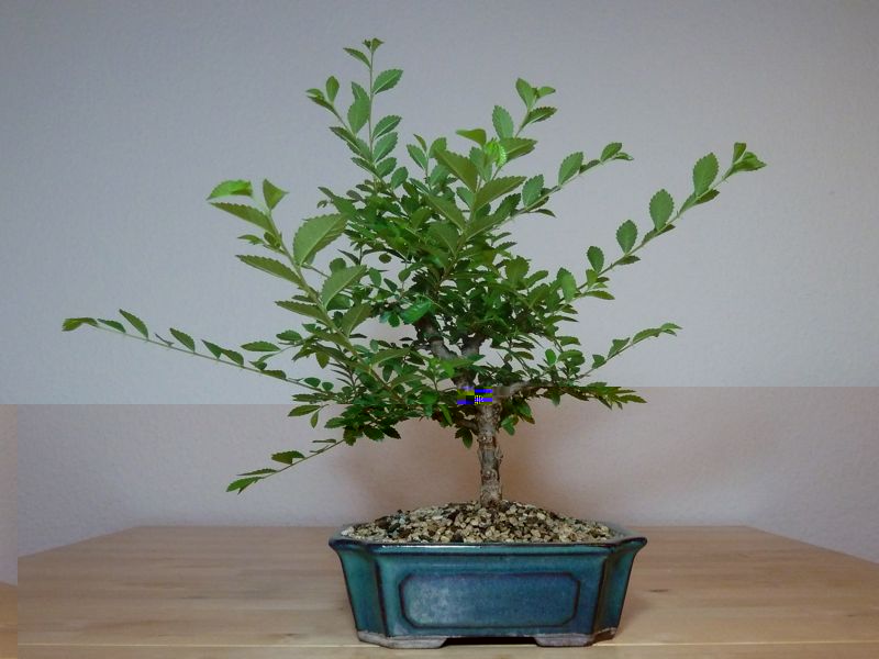 P1070610.jpg