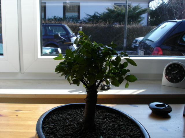 DSC01276.JPG