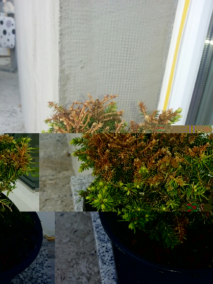 20130812_091828.jpeg