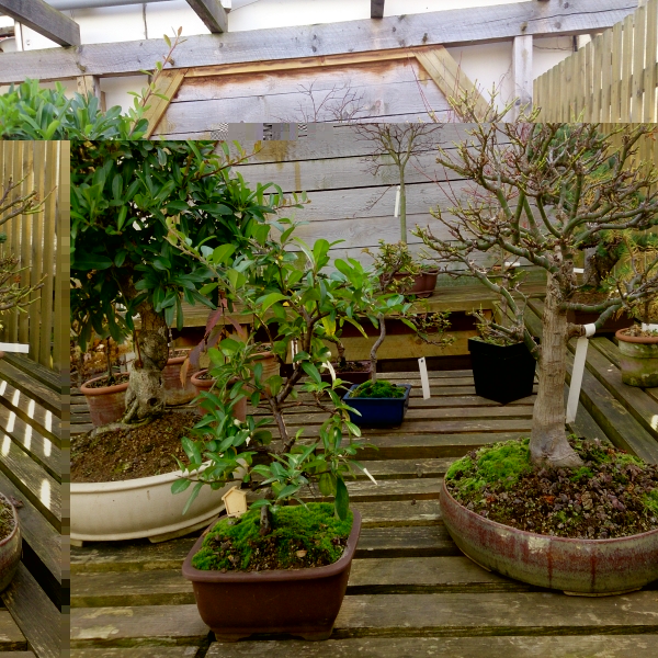 DSC_0516.jpg