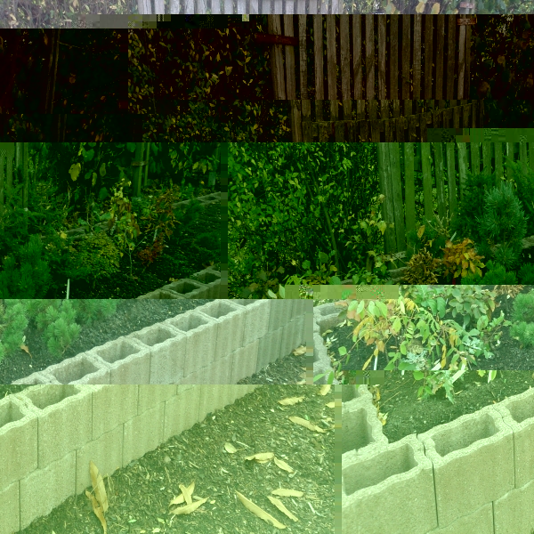 DSC_0526.jpg
