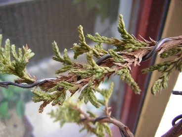 DSCN6635.JPG