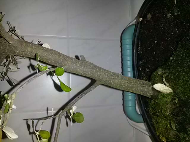 20140227_202200.jpg
