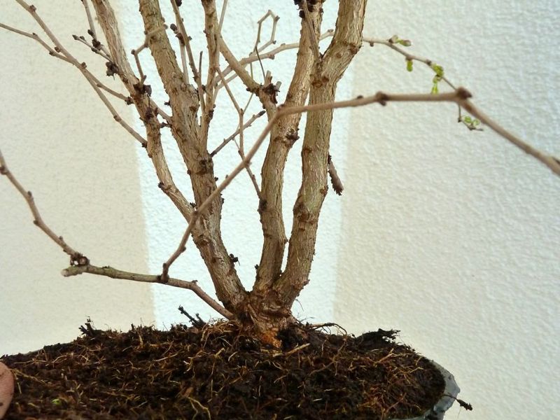 P1120442.jpg