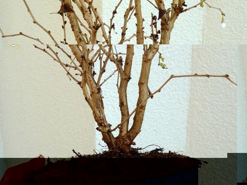 P1120445.jpg